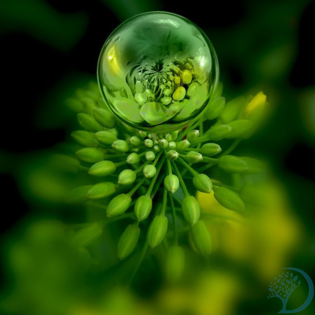 Interpretation Green Color In Dream